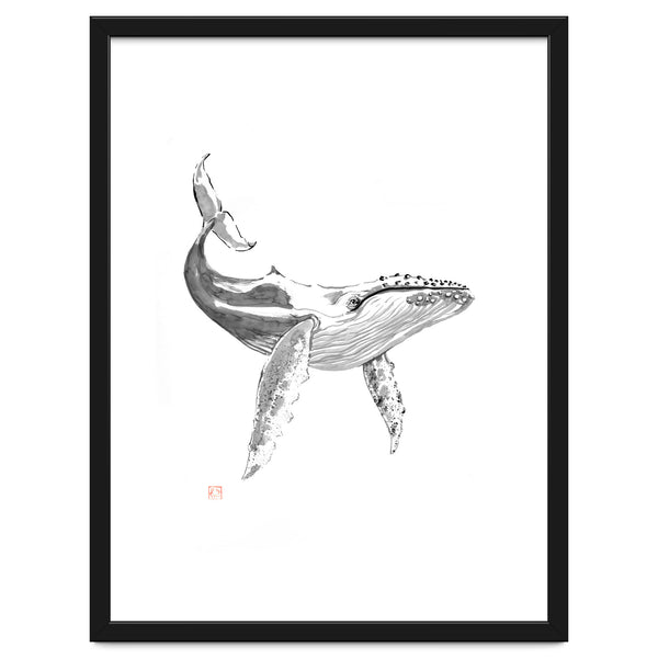 Whale