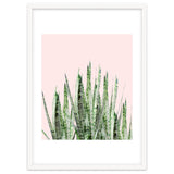 Botanical Balance thumbnail