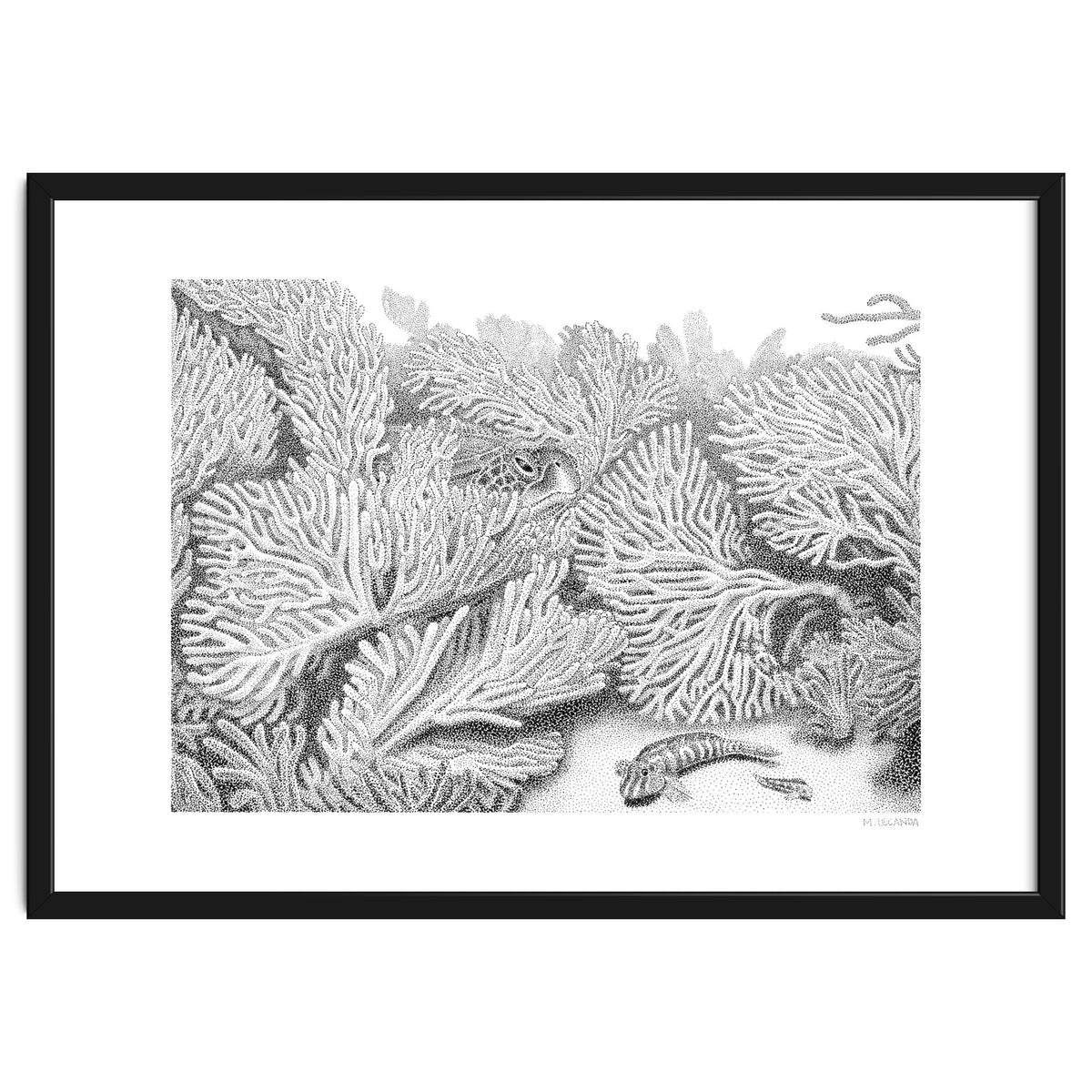 Hidden in plain sight