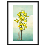 Lemon Tree thumbnail