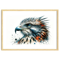 Vibrant Eagle Close Up Portrait