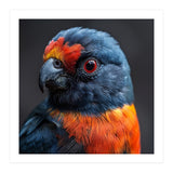 Close Up Portrait Of A Colorful Parrot (Print Only) thumbnail