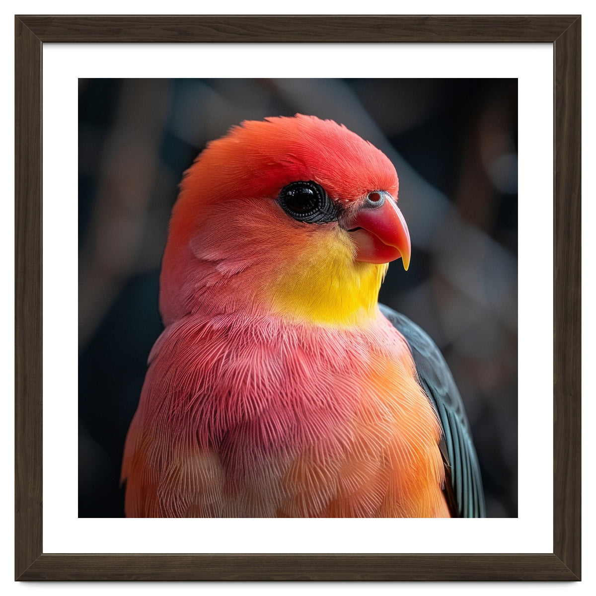 Vibrant Tropical Bird