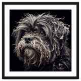 Old Dog 02 thumbnail