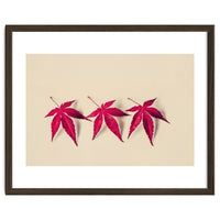 Dancing Leaves