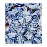 Not All Rosy (Print Only) thumbnail