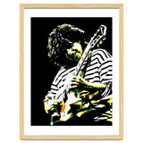 Pat Metheny American Jazz Guitarist Legend 3 thumbnail