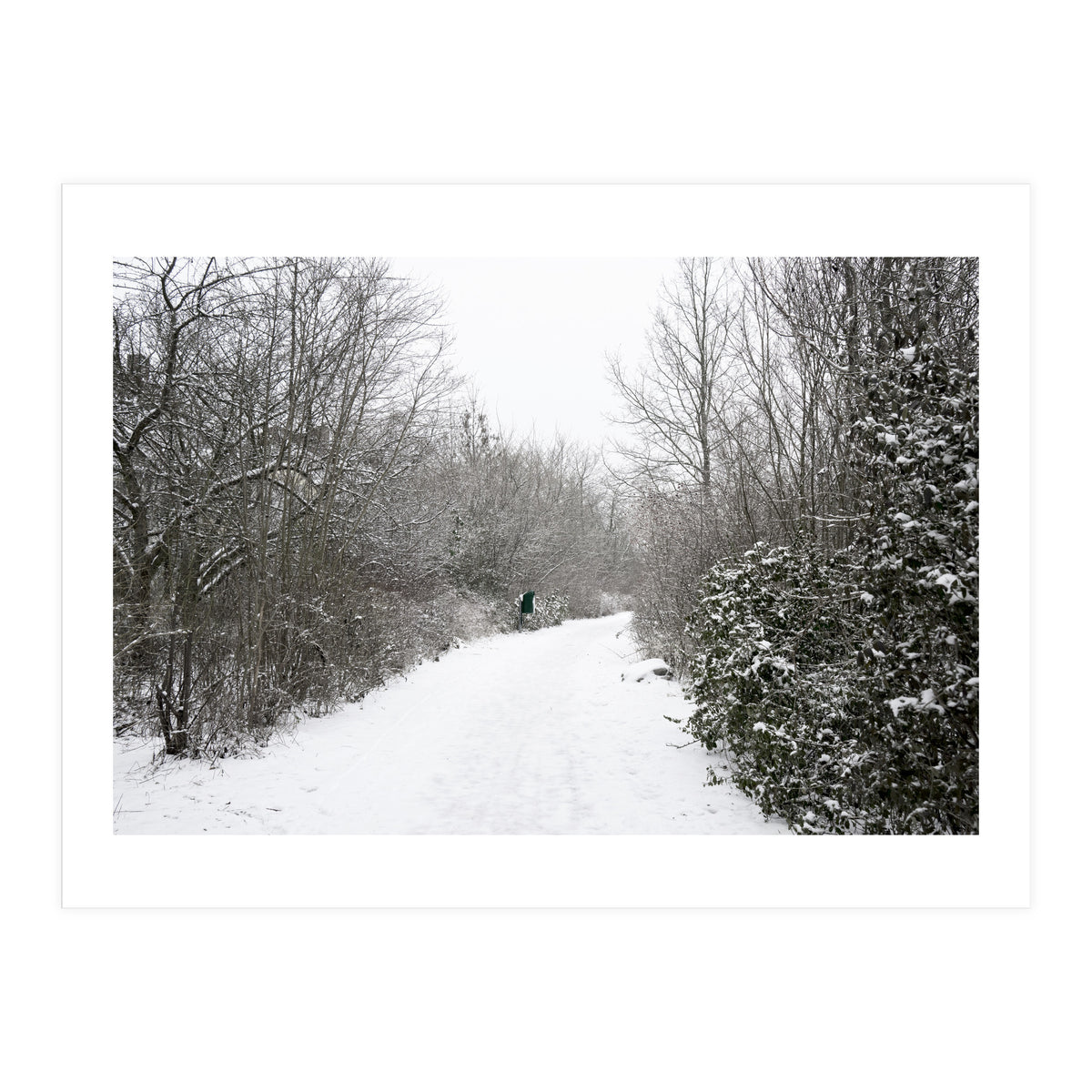 Walking through the snow park (Print Only)