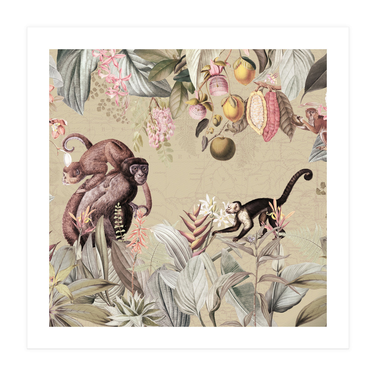 Vintage Exotic Monkeys In African Jungle Landscape (Print Only)