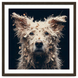 Old Dog 06 thumbnail