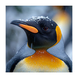 King Penguin In Falling Snow (Print Only) thumbnail