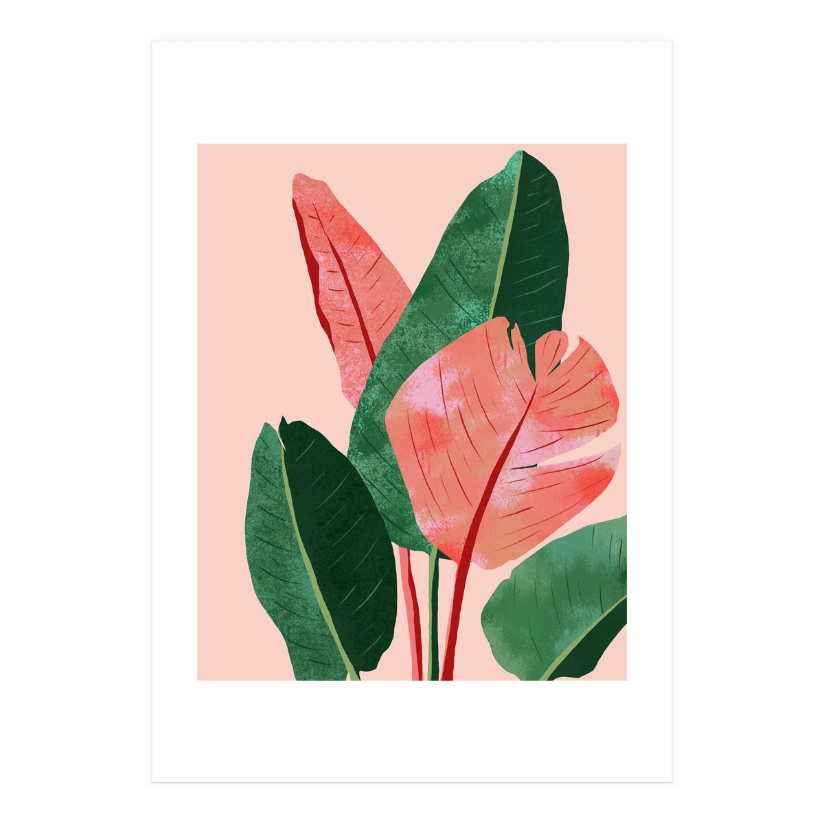 Blush Tropical, Banana Leaves Watercolor Botanical Jungle Painting, Forest Plants Leaves Pink Chic Bohemian (Print Only)