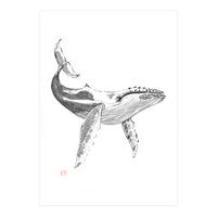Whale (Print Only)