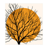 Hiding Sun (Print Only) thumbnail