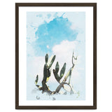 Cactus & Sky thumbnail