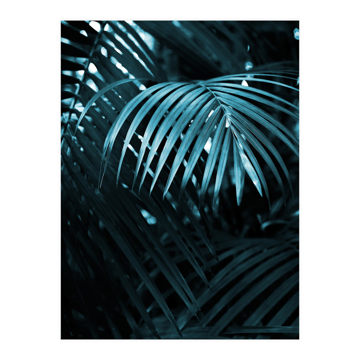 Blue Jungle Palm Ii (Print Only)