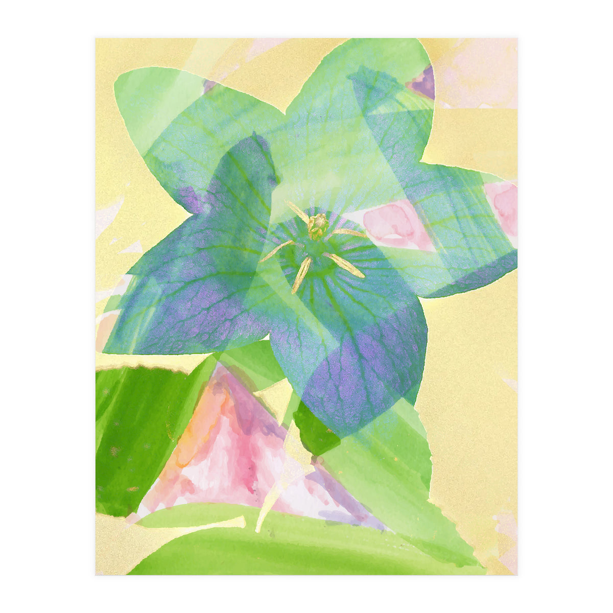 A Peaceful World (Print Only)