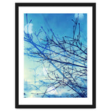 Winter thumbnail
