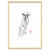 Meduse thumbnail