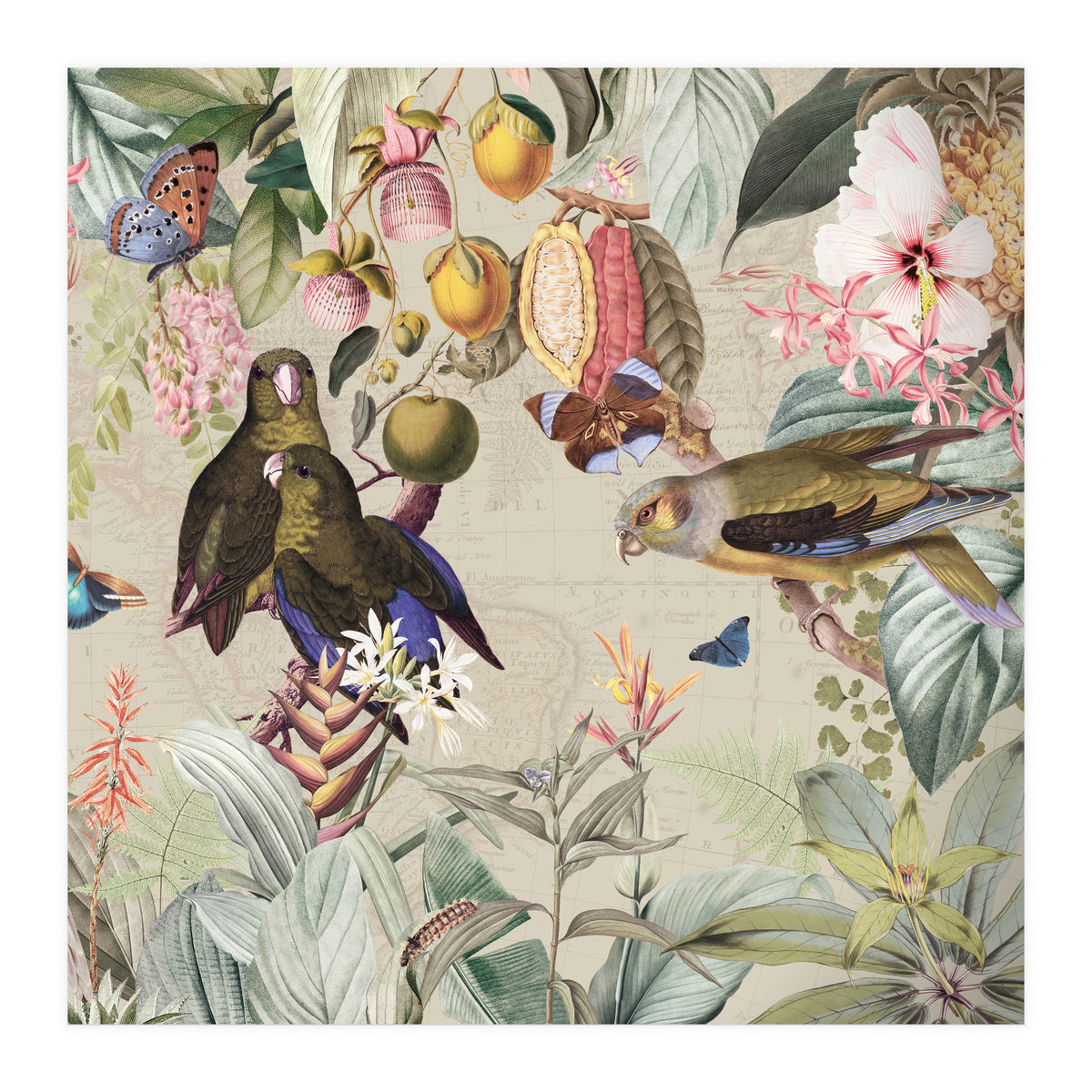 Colorful Parrots And Butterflies In Flower And Fruit Tropical Jungle (Print Only)