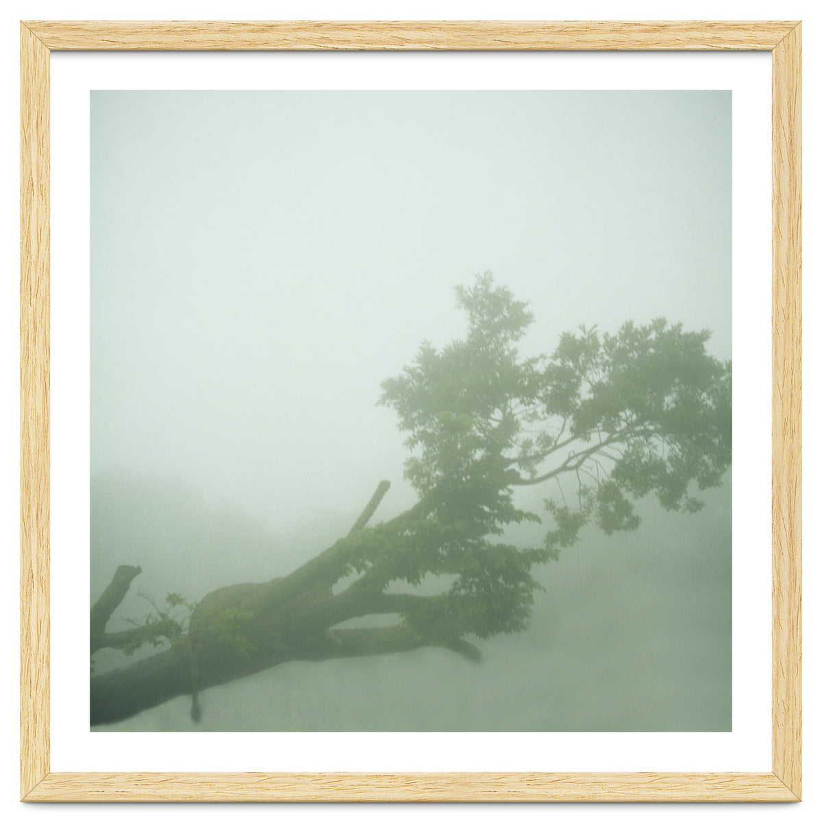 Silence of breath - 07