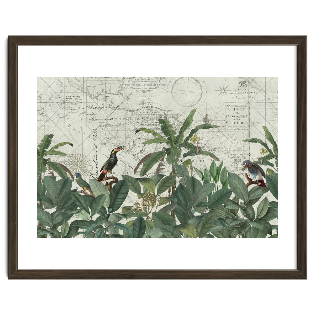 Explore The New World