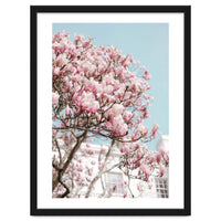 Spring Time