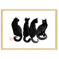 4 Black Cats