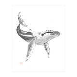 Whale (Print Only) thumbnail