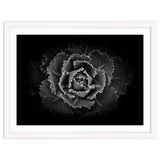 Backyard Flowers In Black And White No 101 thumbnail
