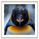 Close Up King Penguin In The Snow thumbnail