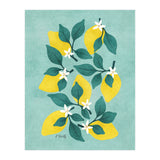 Lemon Blossom (Print Only) thumbnail