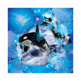 Orca (Print Only) thumbnail