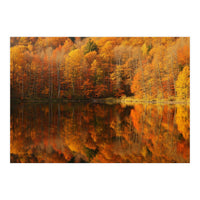 Autumn Reflections (Print Only)