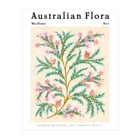 Australian Flora: Wax Flower (Print Only)