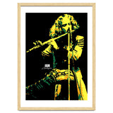 Ian Anderson Musician Legend thumbnail