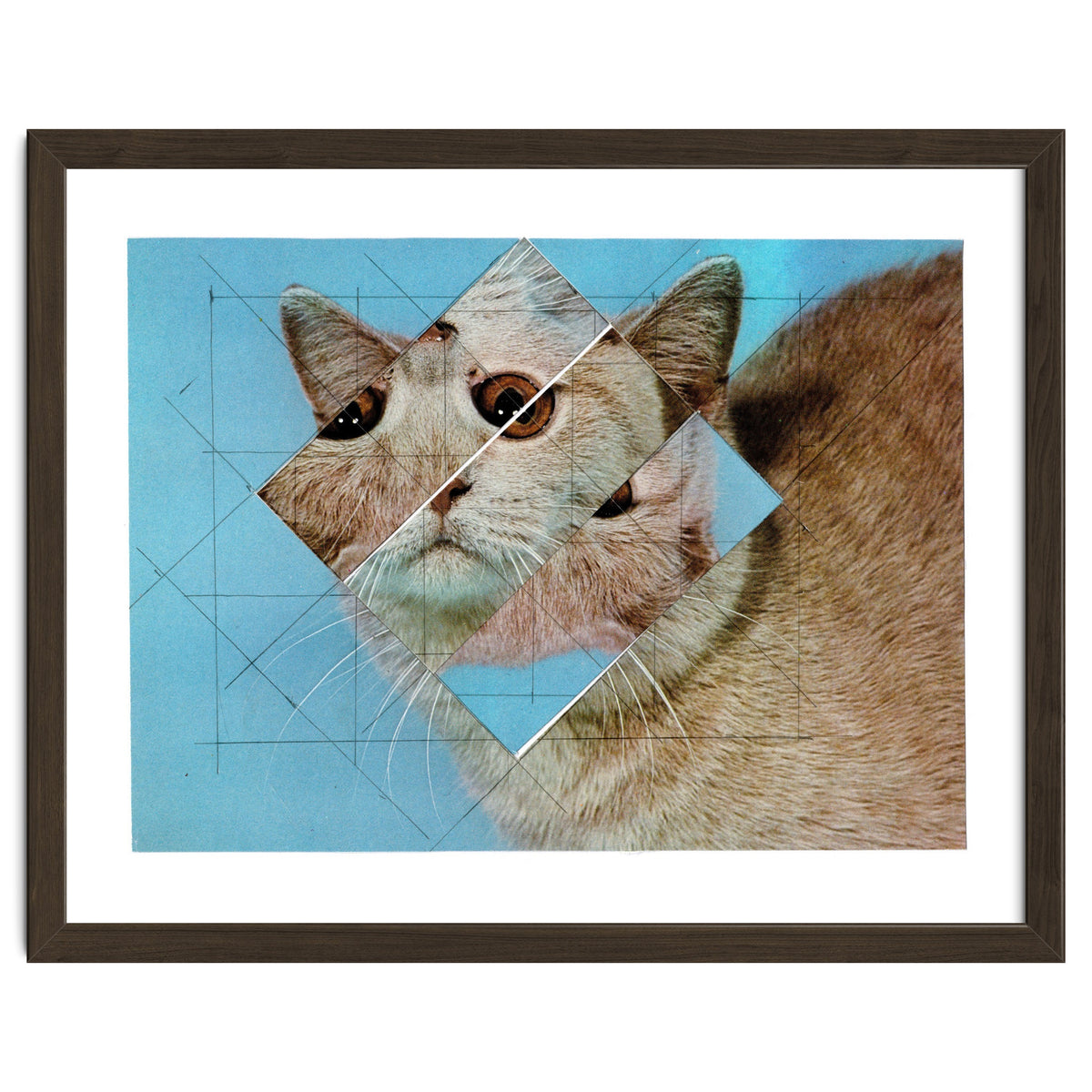 The Depressive Cat Am Abend Bekommt Den Blues