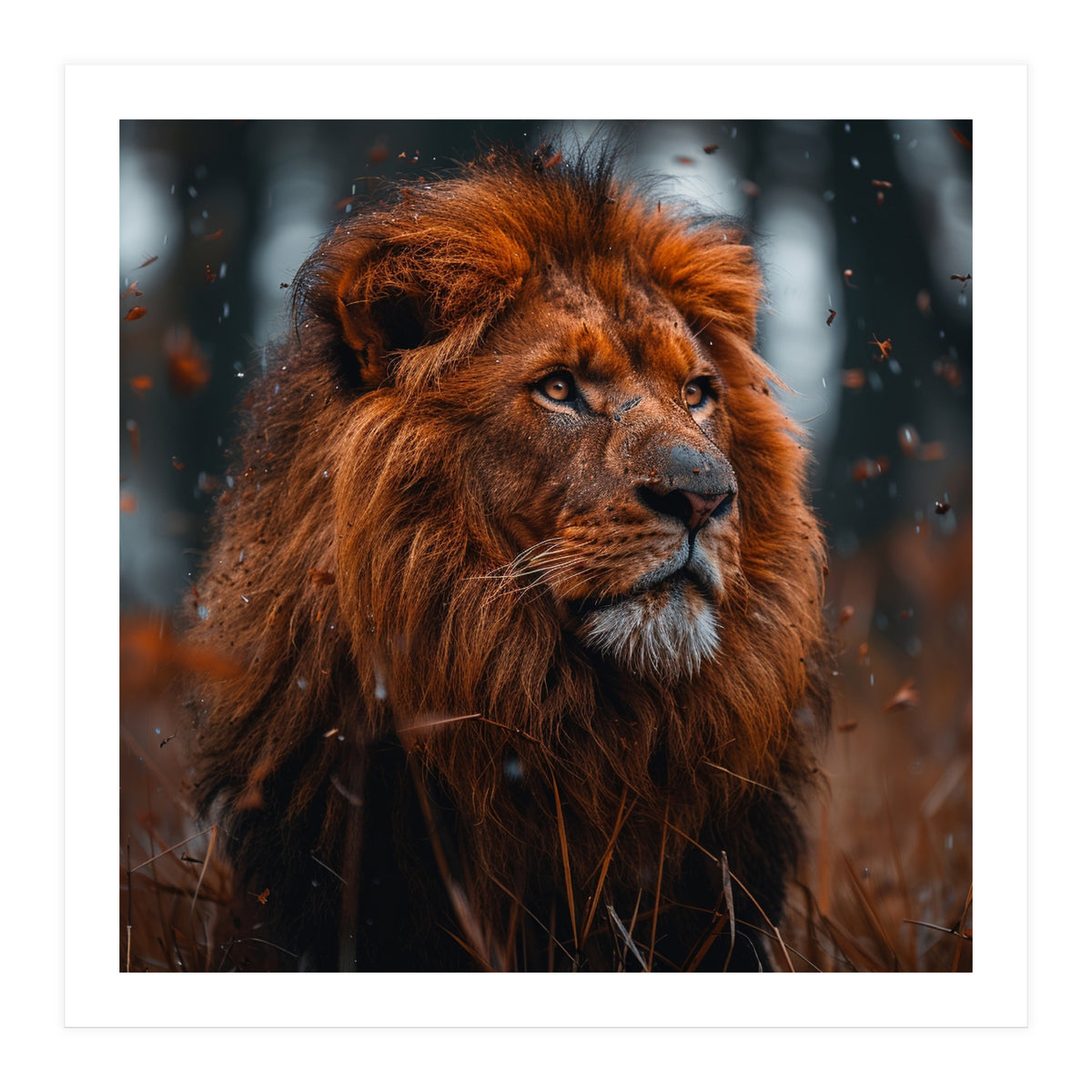 Majestic Lion King Of The Jungle Close Up Portrait (Print Only)