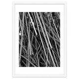 Black Tectorius Plant Shoots Art thumbnail