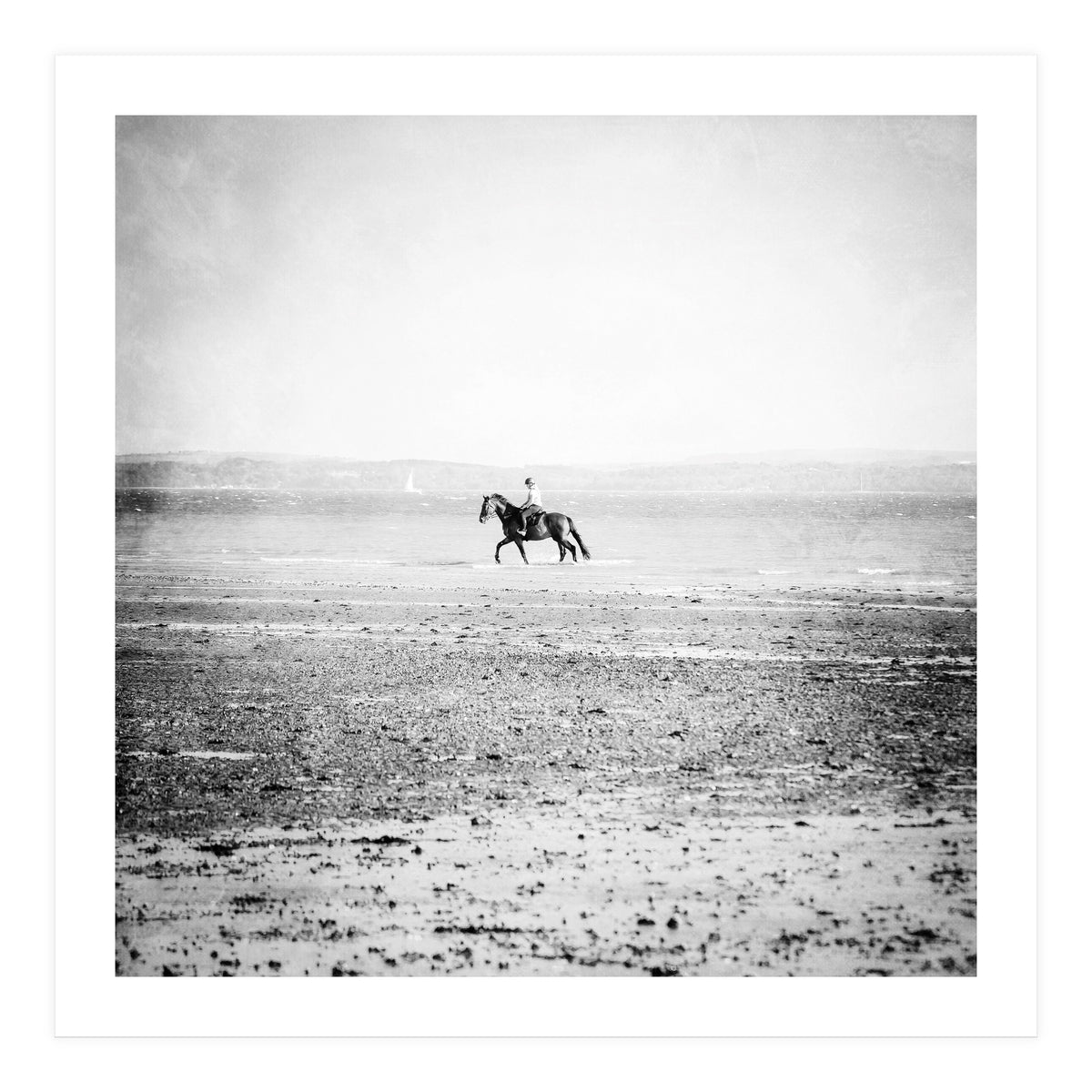 Sea Horse (Print Only)