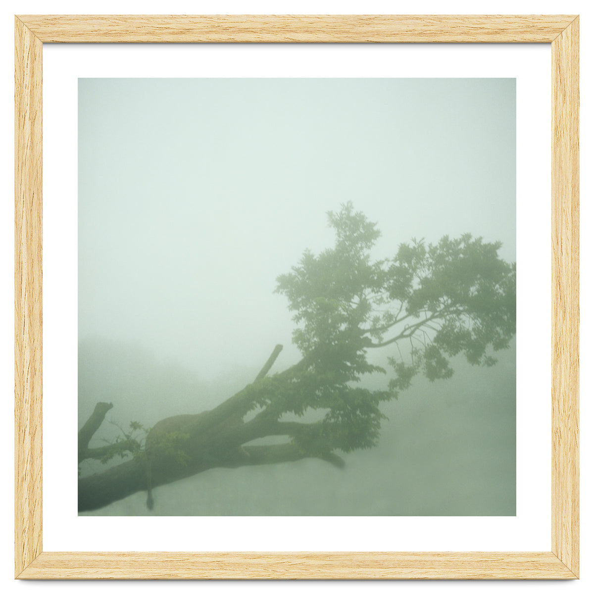 Silence of breath - 07