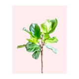 Intimate Energy, Blush Pastel Botanical Plant Minimal Painting, Pink Green Nature (Print Only) thumbnail