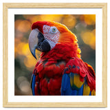 Scarlet Macaw Parrot Close Up Portrait thumbnail