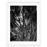 Black Tectorius Plant Art thumbnail