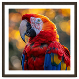 Scarlet Macaw Parrot Close Up Portrait thumbnail