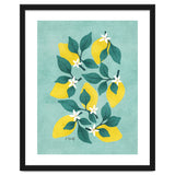 Lemon Blossom thumbnail