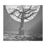 Roots of Resistance BW (Print Only) thumbnail