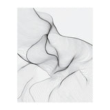 Abstract Black And White Flowing Lines Organic Form (Print Only) thumbnail