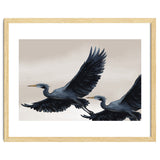 Migrating Herons thumbnail