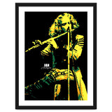 Ian Anderson Musician Legend thumbnail